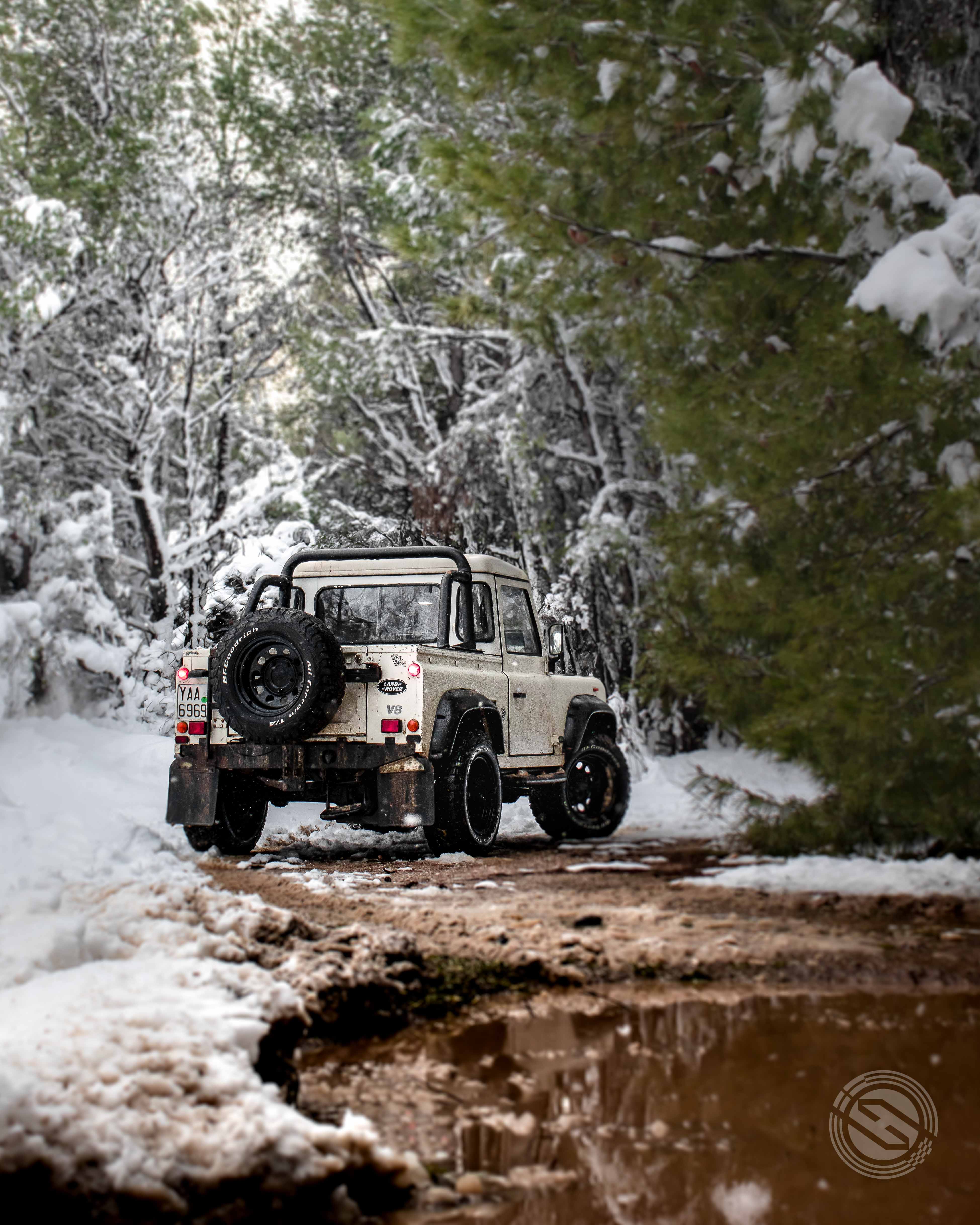 Odin Snow Final Compressed-34.jpg